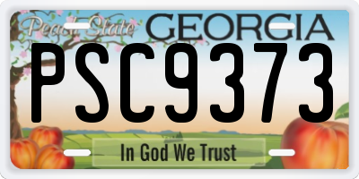 GA license plate PSC9373