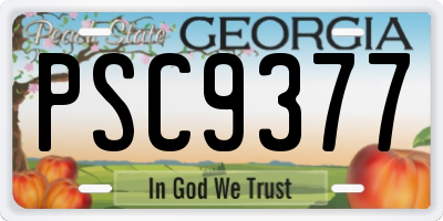 GA license plate PSC9377