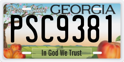 GA license plate PSC9381