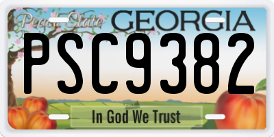 GA license plate PSC9382