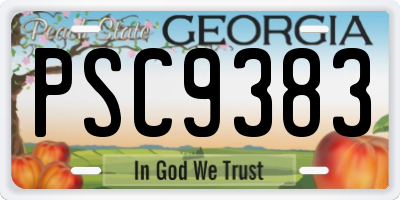 GA license plate PSC9383