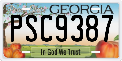 GA license plate PSC9387
