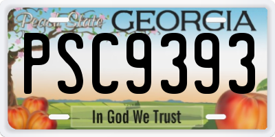 GA license plate PSC9393