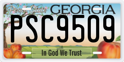GA license plate PSC9509