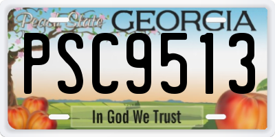 GA license plate PSC9513