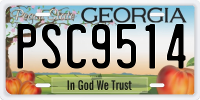 GA license plate PSC9514