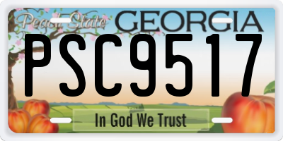 GA license plate PSC9517