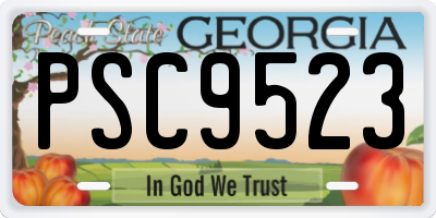 GA license plate PSC9523