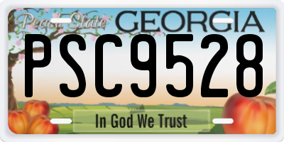 GA license plate PSC9528