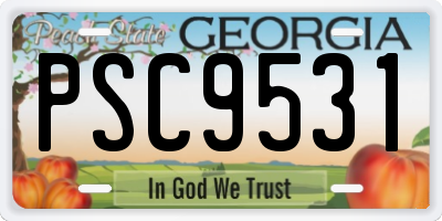 GA license plate PSC9531