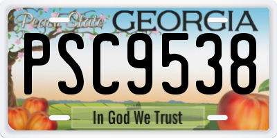 GA license plate PSC9538