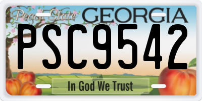 GA license plate PSC9542