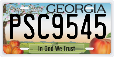 GA license plate PSC9545