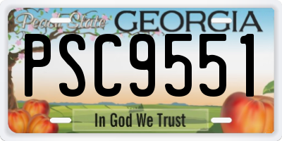 GA license plate PSC9551