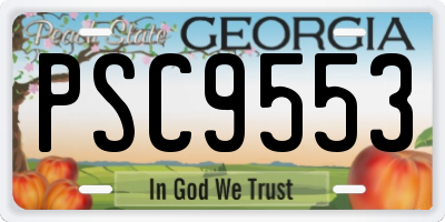 GA license plate PSC9553