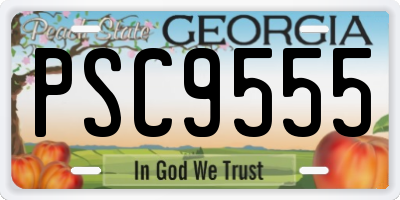 GA license plate PSC9555