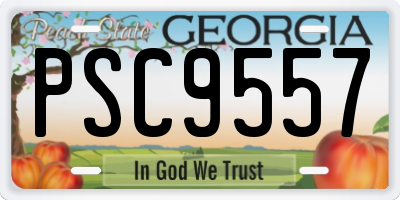 GA license plate PSC9557