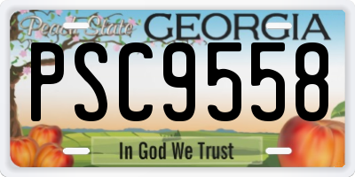 GA license plate PSC9558