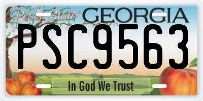 GA license plate PSC9563