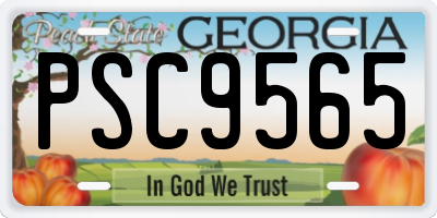 GA license plate PSC9565