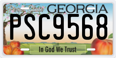 GA license plate PSC9568