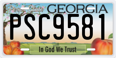 GA license plate PSC9581