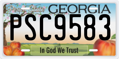 GA license plate PSC9583