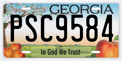 GA license plate PSC9584