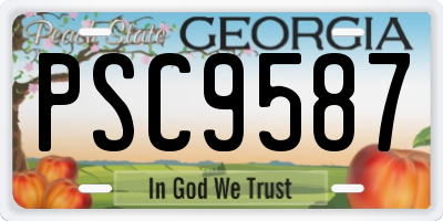 GA license plate PSC9587