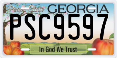 GA license plate PSC9597
