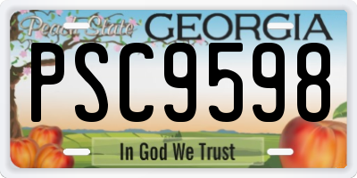 GA license plate PSC9598