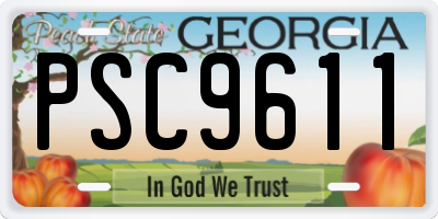 GA license plate PSC9611