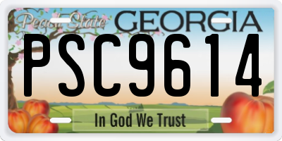 GA license plate PSC9614