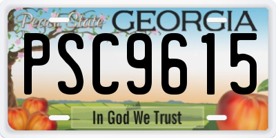GA license plate PSC9615