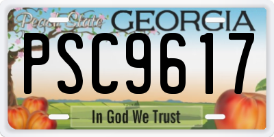 GA license plate PSC9617