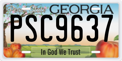GA license plate PSC9637
