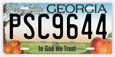 GA license plate PSC9644