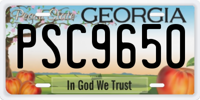 GA license plate PSC9650