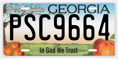 GA license plate PSC9664