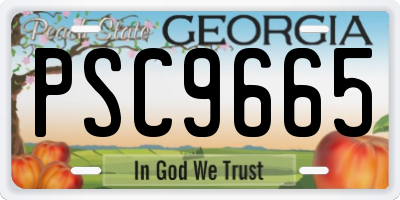 GA license plate PSC9665