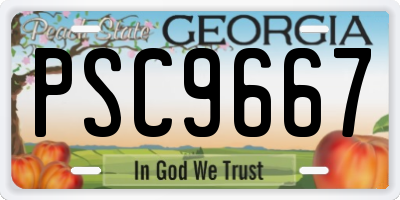 GA license plate PSC9667