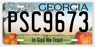GA license plate PSC9673