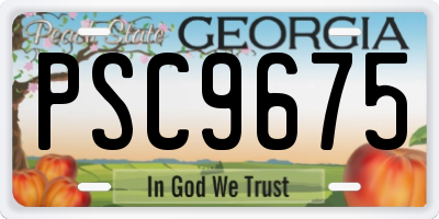 GA license plate PSC9675