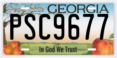 GA license plate PSC9677