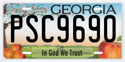 GA license plate PSC9690