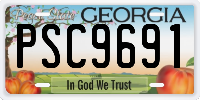 GA license plate PSC9691