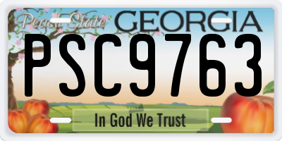 GA license plate PSC9763
