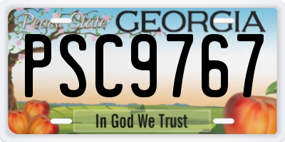 GA license plate PSC9767