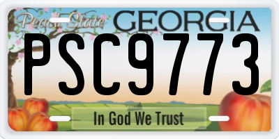 GA license plate PSC9773