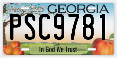 GA license plate PSC9781